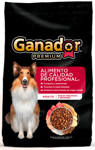 Ganador Premium Adulto 20kg-Alimento Para Perro