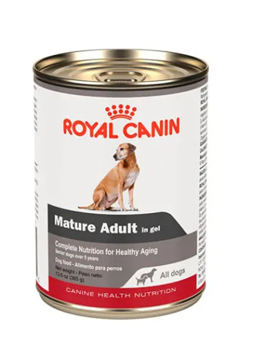 Lata Royal Canin CHN Mature All Dogs in Gel 385g - 1 pzs