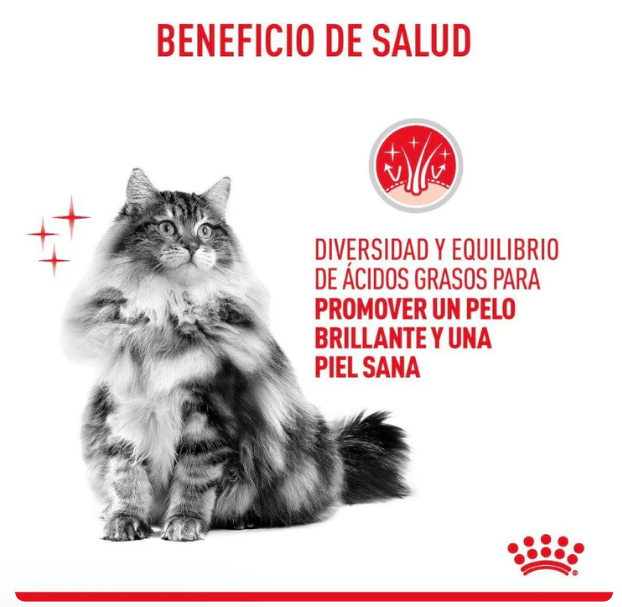 Lata Royal Canin Hair & Skin Care Loaf 145g - 1 pzs