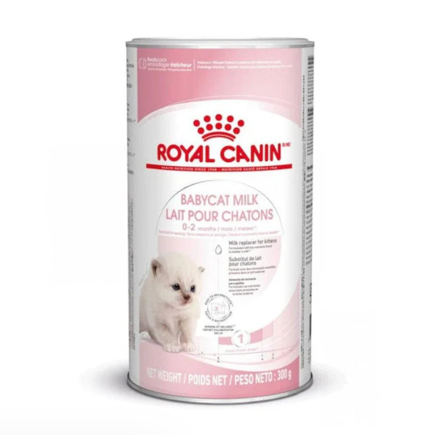 Royal Canin Baby Cat Milk 300g - Sustituto Lácteo Para Gatitos