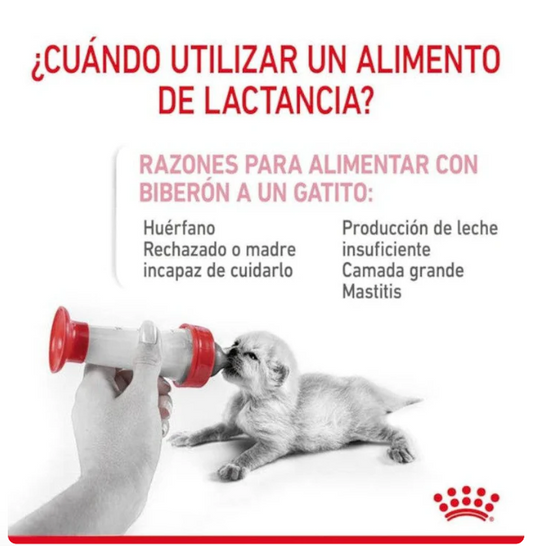 Royal Canin Baby Cat Milk 300g - Sustituto Lácteo Para Gatitos