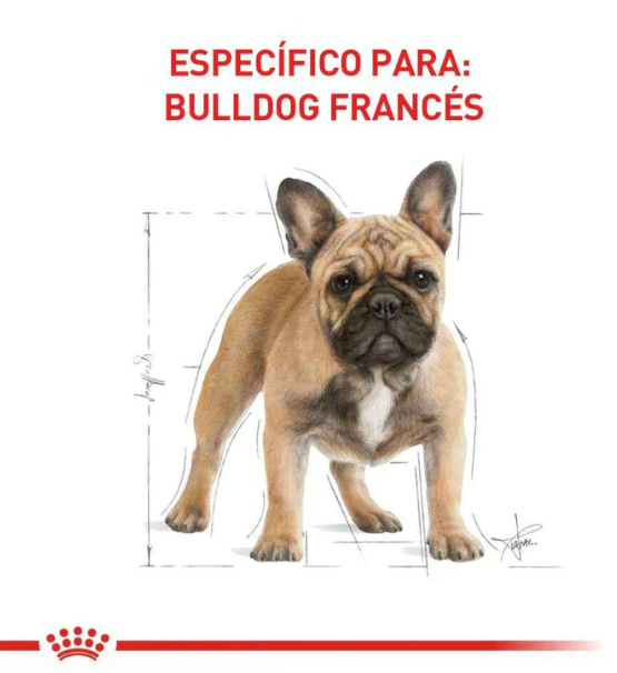 Royal Canin French Bulldog Adult 7.72 kg - Alimento Para Perro