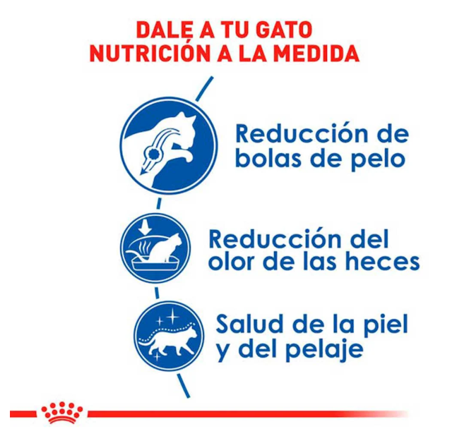 Royal Canin Indoor Adult 3.1kg - Alimento Para Gato