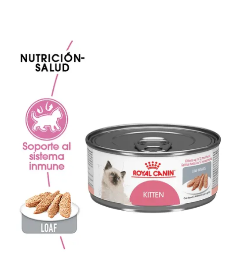 Royal Canin Kitten Loaf in Sauce 145g - Alimento Húmedo Para Gatito