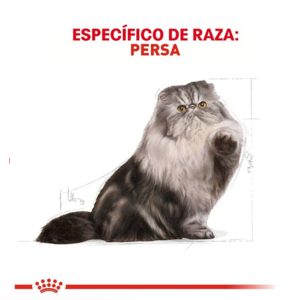 Royal Canin Persian Adult 3.1kg - Alimento Para Gato Persa