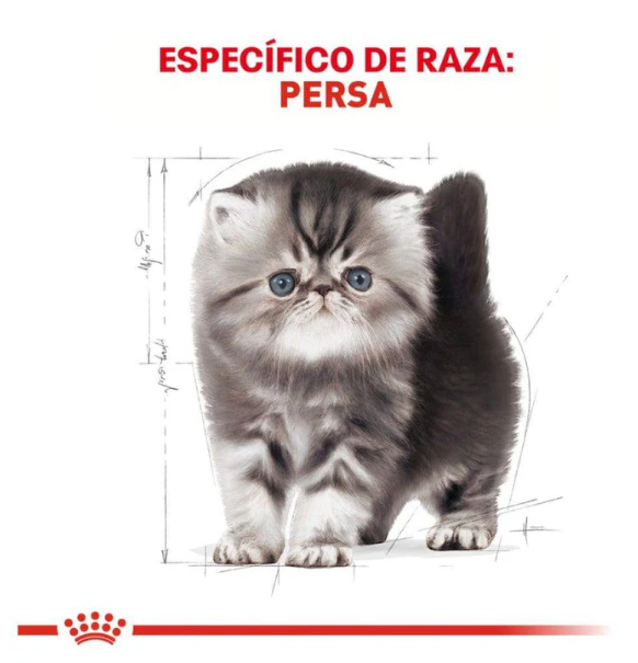 Royal Canin Persian Kitten 1.3kg - Alimento Para Gatito Persa