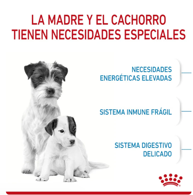 Royal Canin Starter Small Mother y Babydog 6.3 kg- Alimento Para Perro