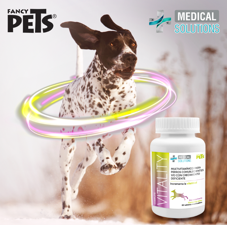 MS Complete Vitality p/Perros 60 Tab