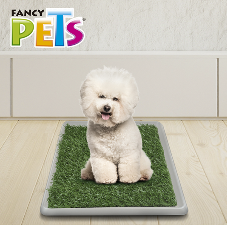 DOGGIE GRASS XCH 50 X 40 CM
