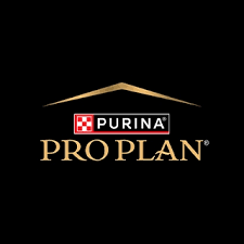 Pro Plan Kitten 3kg - Alimento Para Gatito