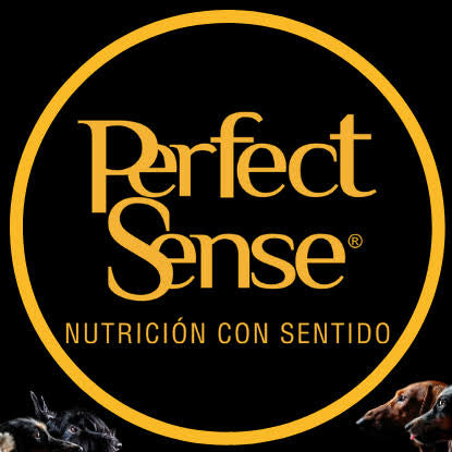 Perfect Sense