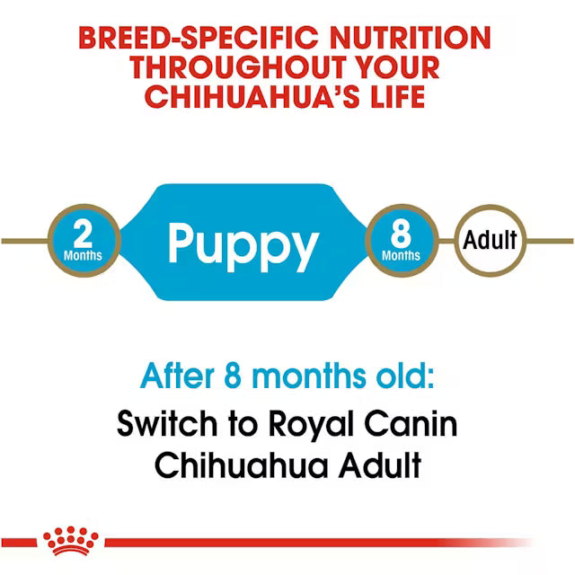 Royal Canin Chihuahua Puppy 1.1 Kg - Alimento Para Cachorro