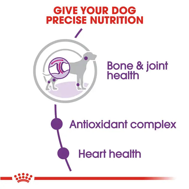 Royal Canin Adult Giant Dog 13.6 Kg - Alimento Para Perro