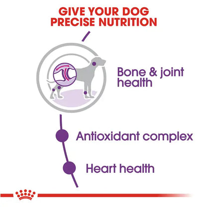 Royal Canin Adult Giant Dog 13.6 Kg - Alimento Para Perro