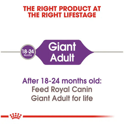 Royal Canin Adult Giant Dog 13.6 Kg - Alimento Para Perro