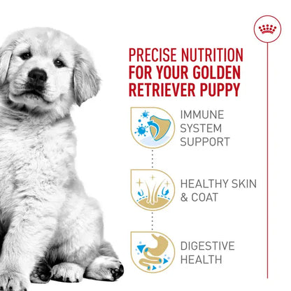 Royal Canin Golden Retriever Puppy 13.6 Kg- Alimento Para Perro