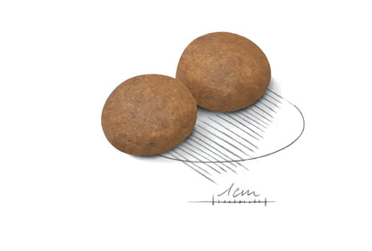 Royal Canin Large Adult 5+ 13.6 kg -Alimento Para Perro