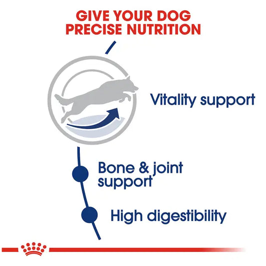 Royal Canin Large Adult 5+ 13.6 kg -Alimento Para Perro