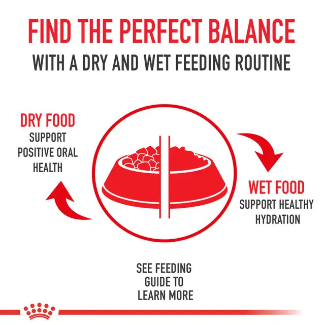 Royal Canin Large Adult 5+ 13.6 kg -Alimento Para Perro