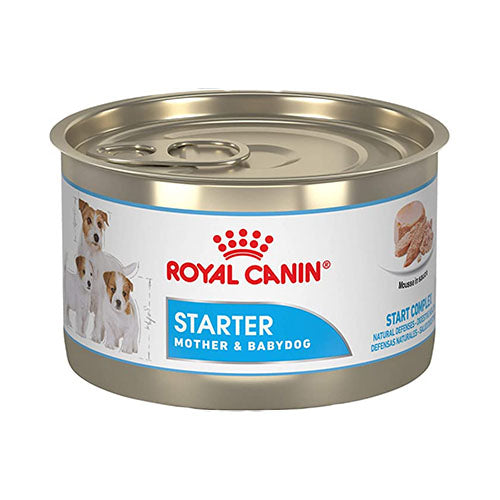 Lata Royal Canin Starter Mother & Babydog Mousse 145g - 1 pzs