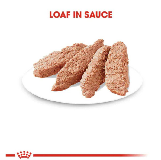 Lata Royal Canin Weight Care Loaf in Sauce 145g - 1 pzs