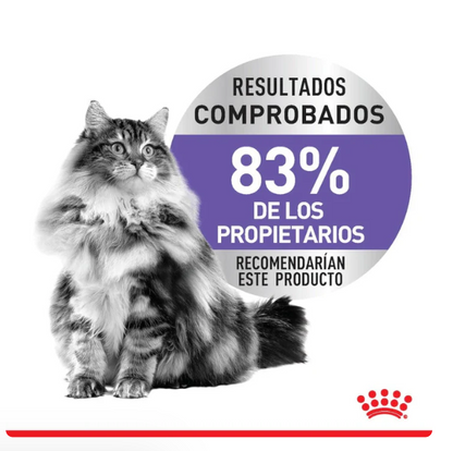 Royal Canin Appetite Control Spayed/Neutered 6.36kg - Alimento Para Gato Esterilizado