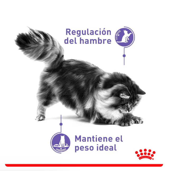 Royal Canin Appetite Control Spayed/Neutered 6.36kg - Alimento Para Gato Esterilizado