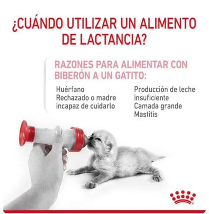 Royal Canin Baby Cat Milk 300g - Sustituto Lácteo Para Gatitos