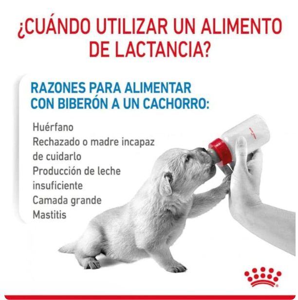 Royal Canin Baby Dog Milk 400g - Sustituto Lácteo Para Cachorros