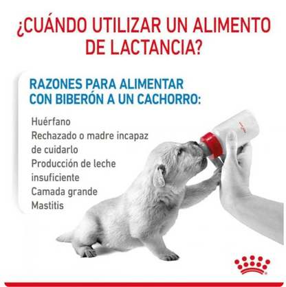 Royal Canin Baby Dog Milk 400g - Sustituto Lácteo Para Cachorros