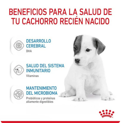 Royal Canin Baby Dog Milk 400g - Sustituto Lácteo Para Cachorros