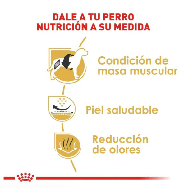 Royal Canin French Bulldog Adult 7.72 kg - Alimento Para Perro