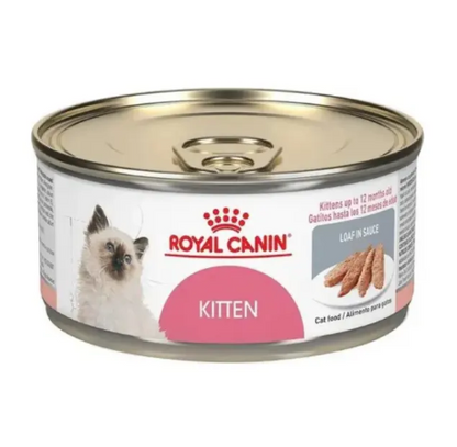Royal Canin Kitten Loaf in Sauce 145g - Alimento Húmedo Para Gatito