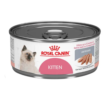 Royal Canin Kitten Loaf in Sauce 145g - Alimento Húmedo Para Gatito