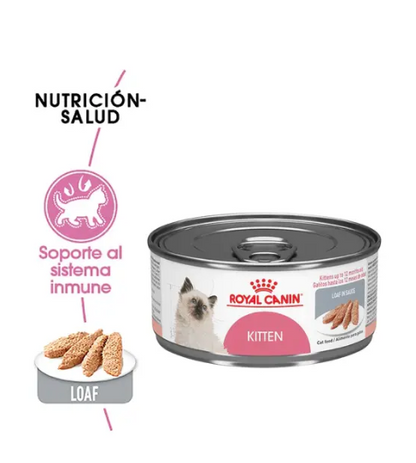 Royal Canin Kitten Loaf in Sauce 145g - Alimento Húmedo Para Gatito
