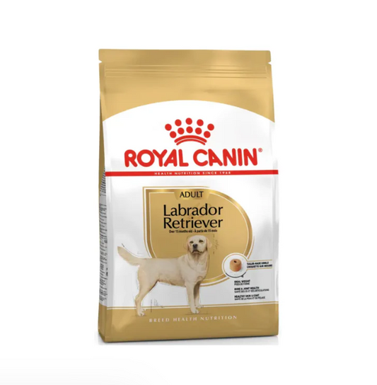 Royal Canin Labrador Retriever Adult 13.6 Kg- Alimento Para Perro