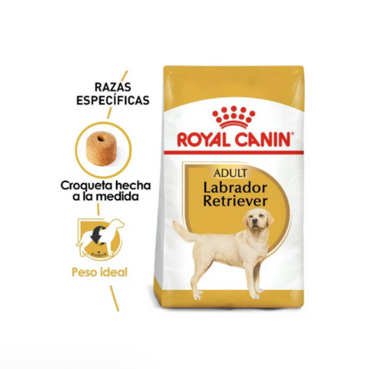 Royal Canin Labrador Retriever Adult 13.6 Kg- Alimento Para Perro