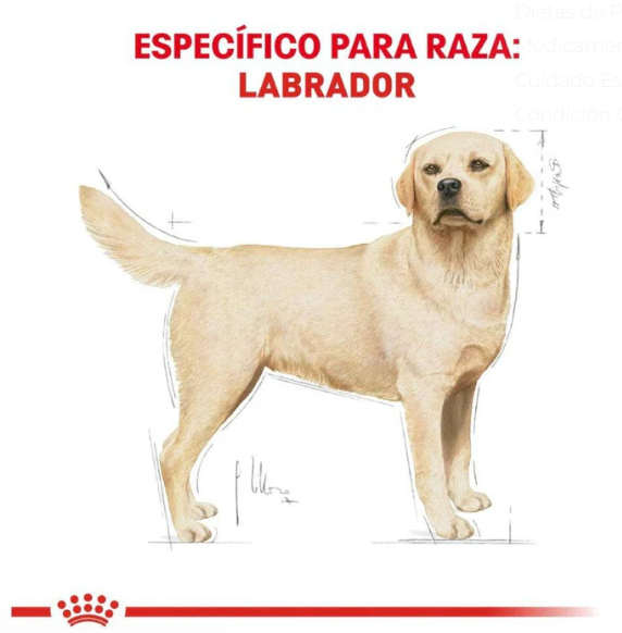 Royal Canin Labrador Retriever Adult 7.72 kg