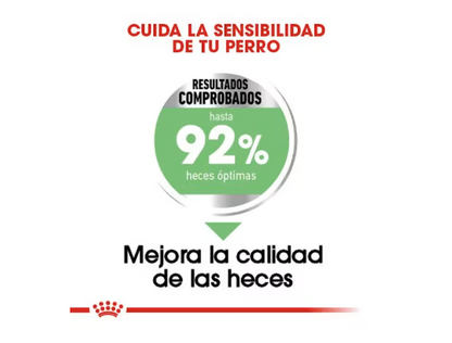 Royal Canin Small Digestive Care 1.5kg - Alimento Para Perro