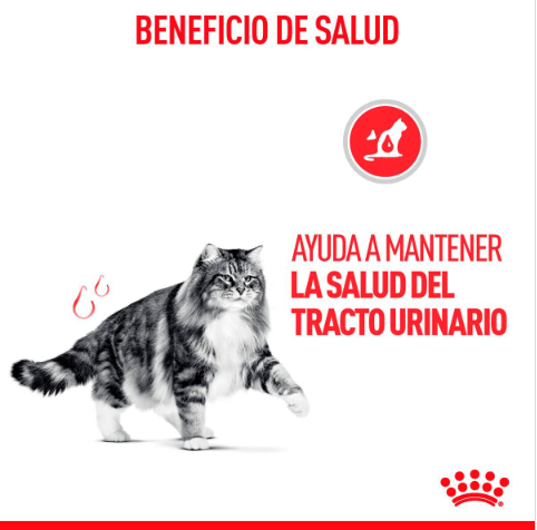 Royal Canin Urinary Care Feline 6.36kg - Alimento Para Gato
