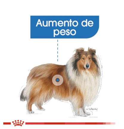 Royal Canin Large Weight Care 13.61 Kg - Alimento Para Perro