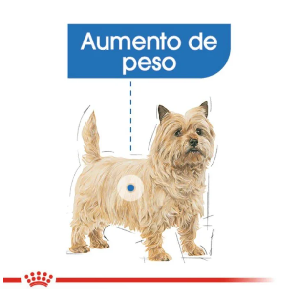 Small Weight Care 1.1 Kg - Royal Canin