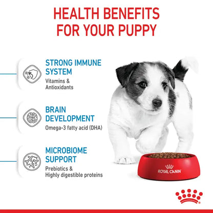 Royal Canin Puppy Small Dog .34 Kg - Alimento Para Perro