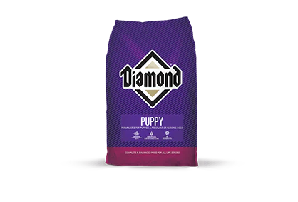 Diamond Cachorro 31/20 2.2 lbs- Alimento Para Perro