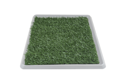 DOGGIE GRASS XCH 50 X 40 CM