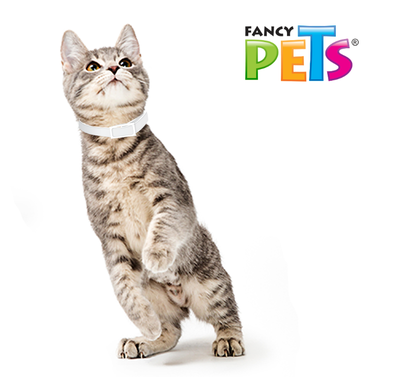 MS Collar Antipulgas p/Gato (39 cm)