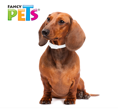MS Collar Antipulgas p/Razas Chicas y Cachorros (39 cm)