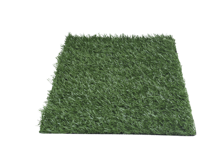 DOGGIE GRASS XCH 50 X 40 CM