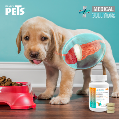 MS Probioticos Tabletas Masticables p/Perros y Gatos 60 Tab
