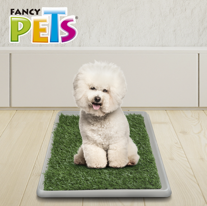 DOGGIE GRASS XCH 50 X 40 CM